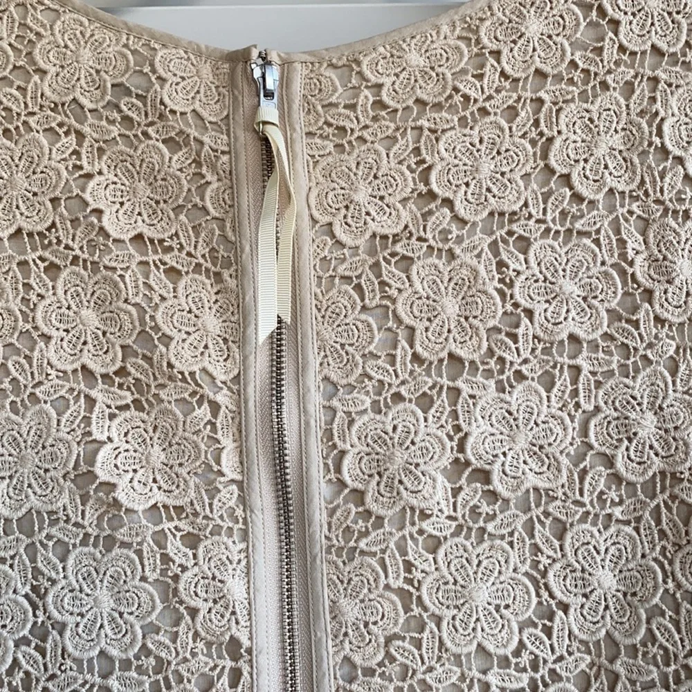 Eliza J Lace Overlay Dress - Picture 4 of 5